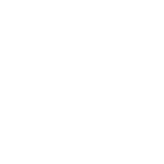 Group-Ramusi---Web-Icons---Why-Us-Services-White